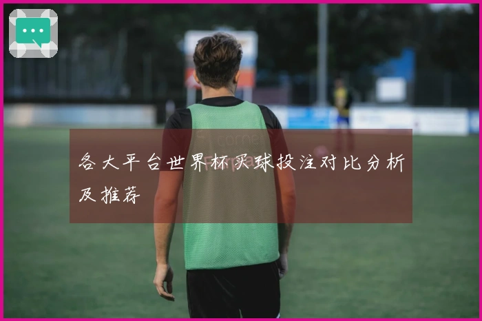各大平台世界杯买球投注对比分析及推荐
