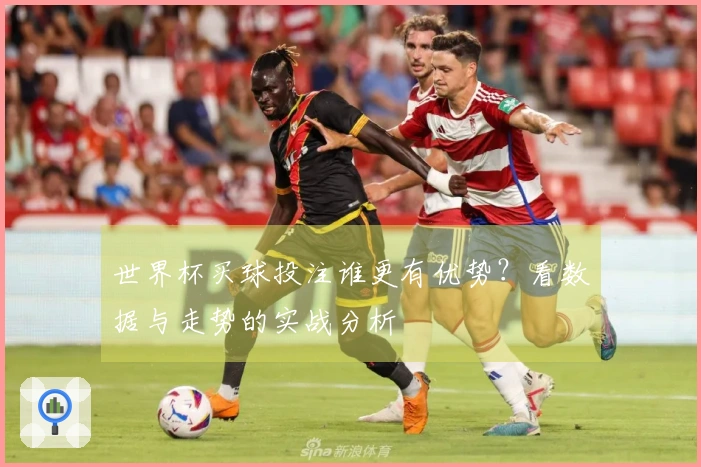 世界杯买球投注谁更有优势？看数据与走势的实战分析