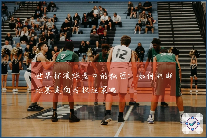 世界杯滚球盘口的秘密：如何判断比赛走向与投注策略