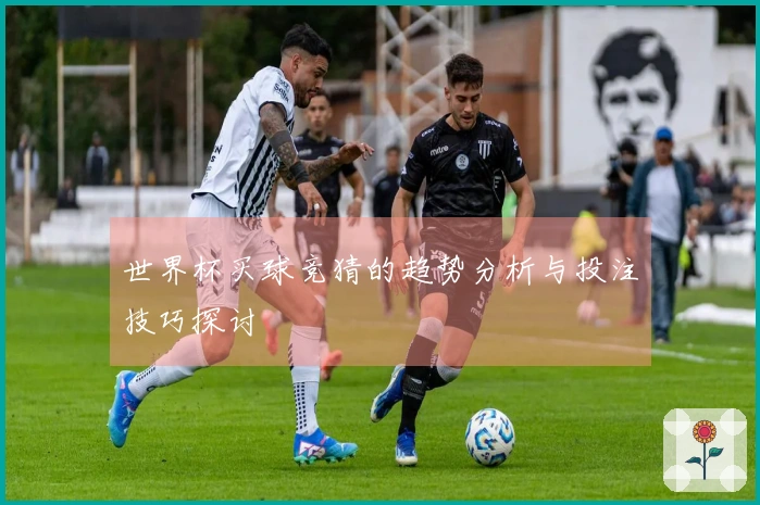 世界杯买球竞猜的趋势分析与投注技巧探讨