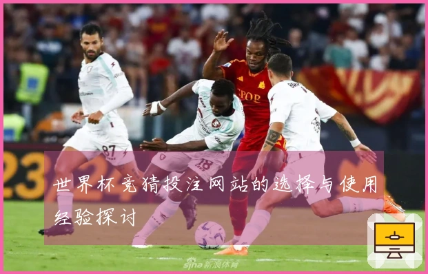 世界杯竞猜投注网站的选择与使用经验探讨