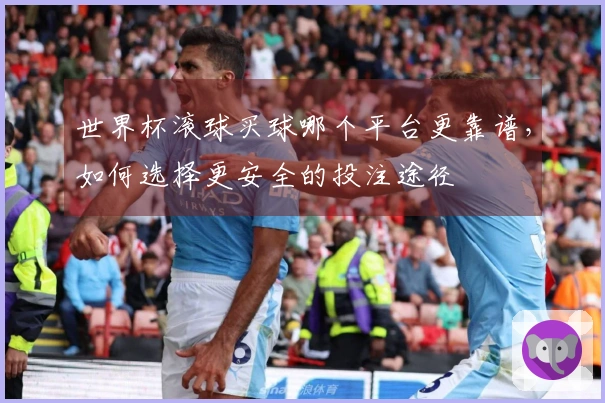 世界杯滚球买球哪个平台更靠谱，如何选择更安全的投注途径