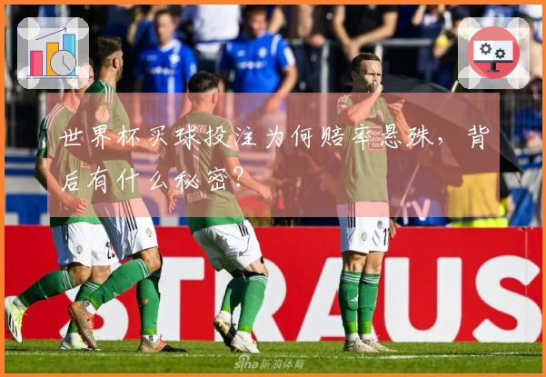 世界杯买球投注为何赔率悬殊，背后有什么秘密？