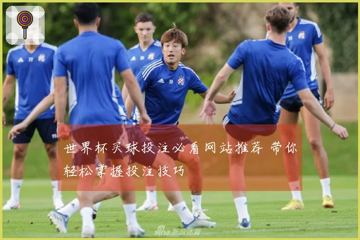 世界杯买球投注必看网站推荐 带你轻松掌握投注技巧