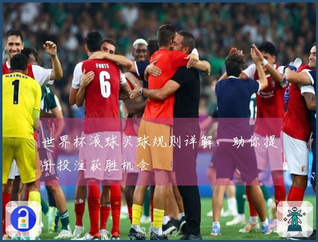 世界杯滚球买球规则详解，助你提升投注获胜机会