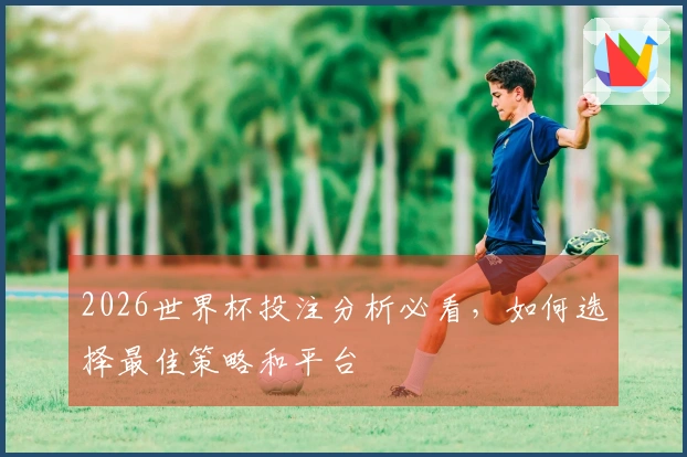 2026世界杯投注分析必看，如何选择最佳策略和平台