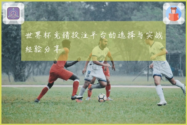 世界杯竞猜投注平台的选择与实战经验分享