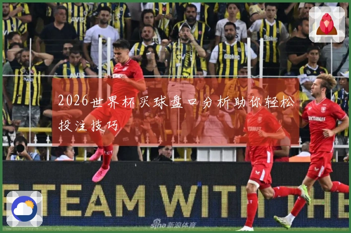 2026世界杯买球盘口分析助你轻松投注技巧