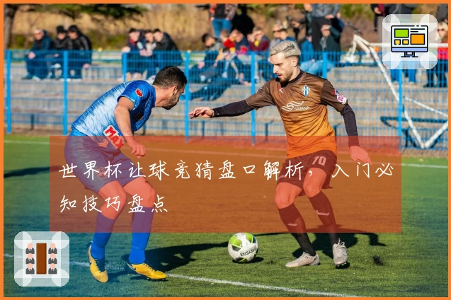 世界杯让球竞猜盘口解析，入门必知技巧盘点