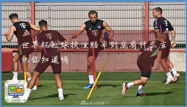 世界杯让球投注赔率到底有什么玄机你知道吗
