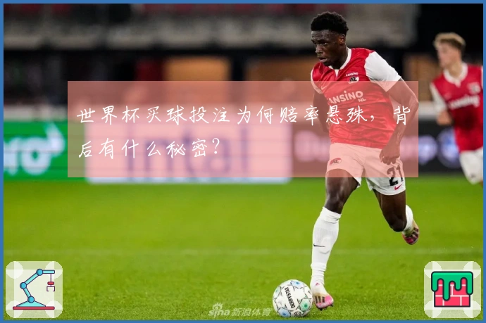 世界杯买球投注为何赔率悬殊，背后有什么秘密？